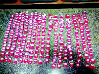 黄陂警方破获一起毒品案 石质茶盘内竟藏有5万颗麻果