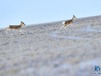 首个国家公园什么样？带你先“睹”为快 
