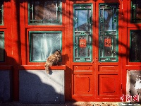 【凡人歌】北漂2.0和北漂1.0有啥不一样？