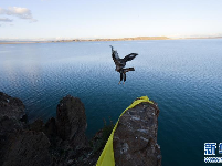 首个国家公园什么样？带你先“睹”为快 