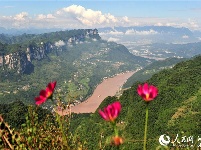 宜昌：夏日西陵峡 风景美如画
