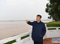 习近平在郑州考察