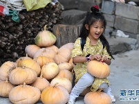 跟着爸妈去“驻村”