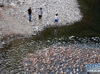 跟着爸妈去“驻村”