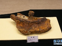 “定远舰”沉舰遗址在威海发现