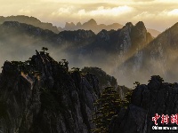秋日黄山苍松斗翠九天云阔