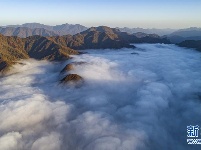 神农架大九湖风光