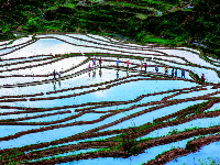 湖北山水田园 大地的诗篇