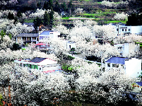 湖北山水田园 大地的诗篇