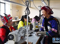 方寸之间绣绝活儿