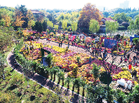 2019武汉旅游节收官 演绎诗和远方的精彩