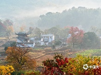  一组图看尽祖国各地壮美秋色