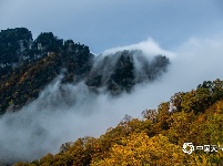 一组图看尽祖国各地壮美秋色
