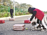 跑步机上练体能 搜爆缉毒样样行
江城功勋警犬炼成记