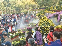 礼乐诗歌受热捧  最美菊展迎客来  琴台音乐觅知音 武汉旅游节演绎精彩的诗和远方