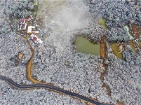 远安现林海雪原景观