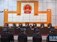 洞庭湖“湖霸”夏顺安黑社会性质组织案一审宣判