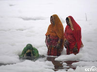 庆太阳神节 印度信徒在被污染的亚穆纳河祈祷