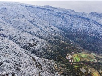 远安现林海雪原景观