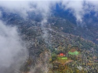 远安现林海雪原景观