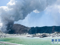 新西兰怀特岛火山喷发确认5人死亡