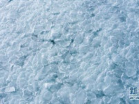 青海湖进入封冻期