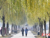 大雪时节，武汉不见雪