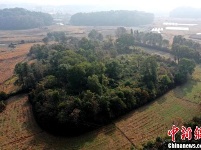 江西吉水发现一处史前遗址 距今约5000年