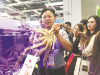 提规模强品质 国际味道十足

第28届中国食品博览会12月6日启幕