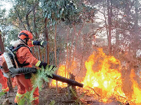 广东佛山爆发山火 800多名消防员鏖战90小时灭火