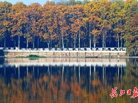 多彩东湖