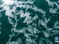 青海湖进入封冻期