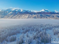 人间仙境！喀纳斯冬日美景