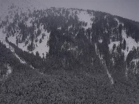 人间仙境！喀纳斯冬日美景