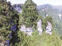 山峦叠嶂风景好 一树一石别样奇 利川深山里
发现夫妻树和夫妻石