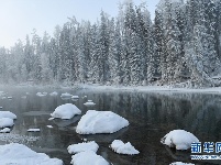 人间仙境！喀纳斯冬日美景