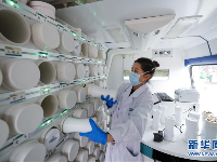 以中医治疗为主的武汉江夏方舱医院 