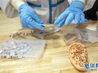 以中医治疗为主的武汉江夏方舱医院 