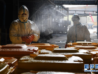 烈火高温——这里是武汉医疗废物的最终归宿 