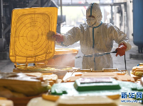 烈火高温——这里是武汉医疗废物的最终归宿 