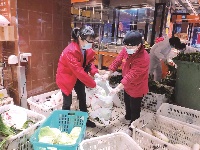 栉风沐雨的逆行 向阳而生的力量