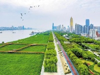 春回江城