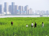 英雄城市 英勇归来 ——直击武汉“解封”首日
