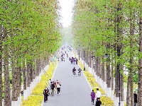 春回江城