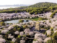 春回江城