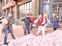 栉风沐雨的逆行 向阳而生的力量