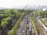 英雄城市 英勇归来 ——直击武汉“解封”首日
