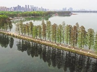 英雄城市 英勇归来 ——直击武汉“解封”首日
