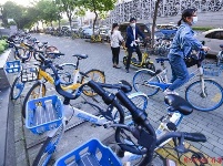 上下班 走单骑 都市白领热骑共享单车