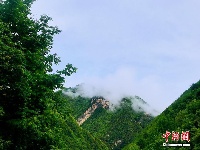 甘南藏区岷山雨后现“云海”